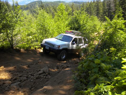 2005 Jeep Wrangler - White Jeep Grand Cherokee navigates a challenging off-road trail surrounded by dense forest.