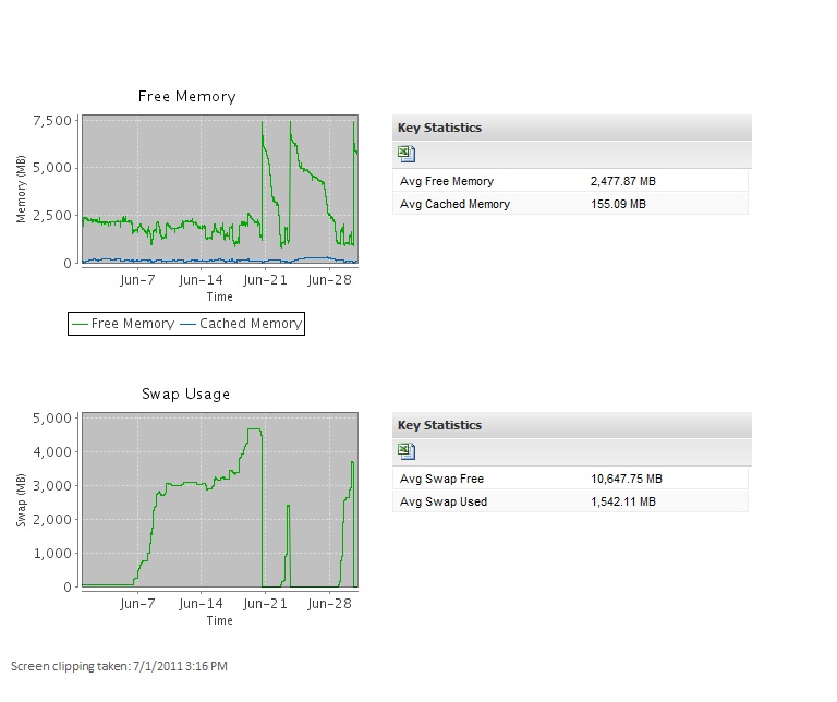 Computer screen showing graphs of free memory and swap usage with key statistics
