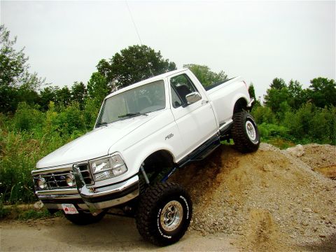 1995 Ford F-150 - i was pleased with how this turned out overall