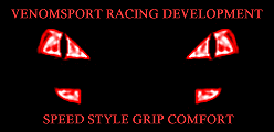1999 Ford Taurus - This graphic features stylized red eyes and text related to racing development and performance.