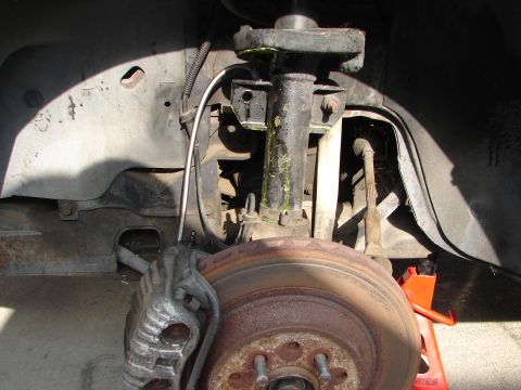 1992 Ford Taurus - Close-up view of a vehicle's front brake assembly, including the caliper, rotor, and suspension strut.