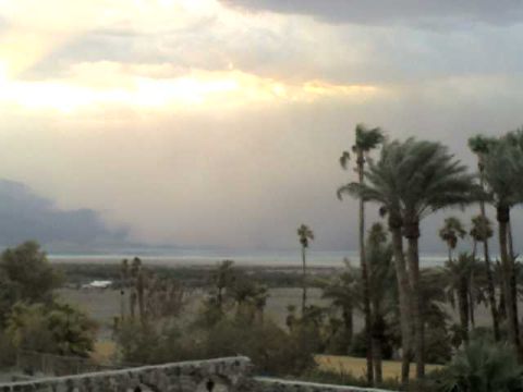 2009 Kenworth T800 - A landscape scene palm trees and a body of water under a cloudy sky.
