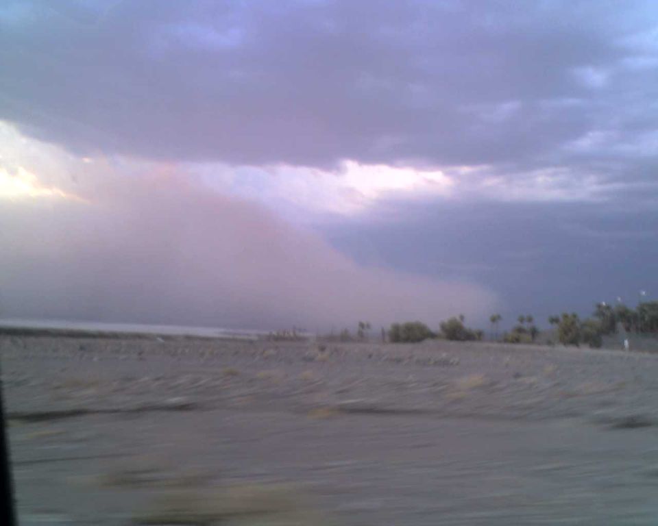 dust storm approaching over a dry landscape with scattered trees under a cloudy sky