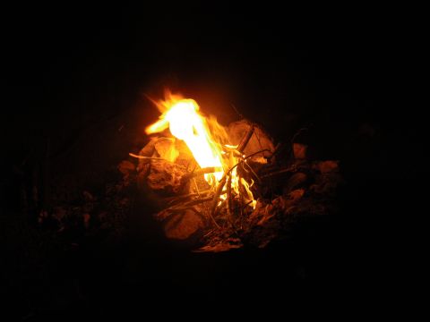 1995 Ford Bronco - A campfire glows in the darkness, surrounded by rocks and branches.