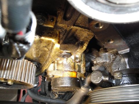 1993 Ford Taurus - Close-up view of greasy engine components, including a timing gear and power steering pump.