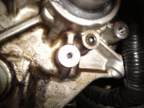 1993 Ford Taurus - A detailed view of a dirty engine part, showing bolts and a black hose, with oil residue visible.