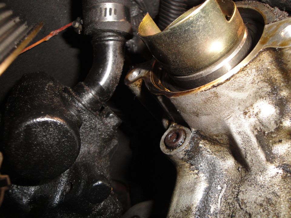 Close-up of an engine part with a metal hose clamp and black hose attached