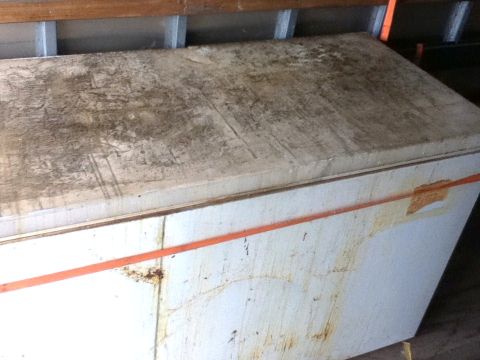 2006 Ford E350 - Came out of a Chinese restaurant in Belgrade, MT. Ya, that's disgusting. Had newspaper with traces of mice in the compressor compartment.