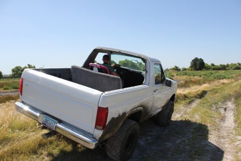 1986 Ford Bronco photo