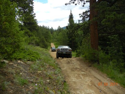 1996 Ford Bronco - Two trucks navigate a winding dirt road through a forest, with the lead truck's rear visible.