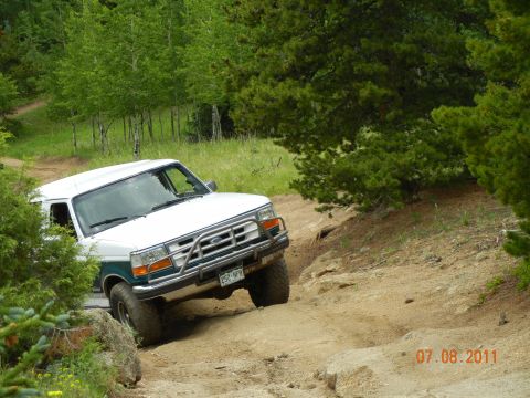 1996 Ford Bronco - 1996 Ford Bronco navigates a challenging off-road path with trees and rocks surrounding the trail.