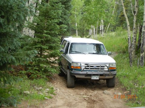 1996 Ford Bronco - 1996 Ford Bronco driving on a dirt road through a wooded area.