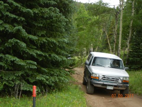 1996 Ford Bronco - A 1996 Ford Bronco drives down a dirt road surrounded by lush green trees.