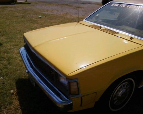 1981 Chevrolet Citation photo