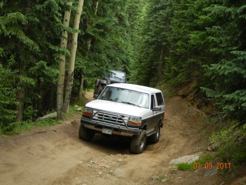 1996 Ford Bronco - Two SUVs navigate a narrow dirt road through a dense forest.