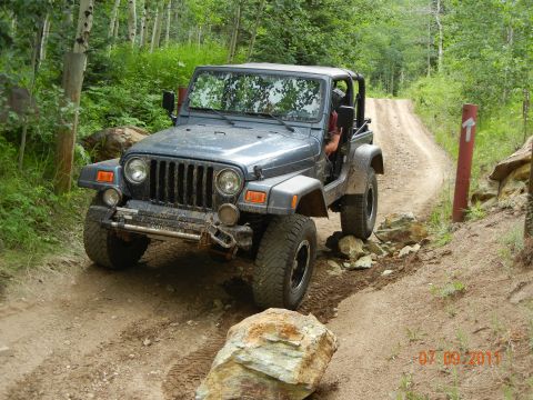 1996 Ford Bronco - A gray Jeep Wrangler navigates a rough dirt path through a wooded area.