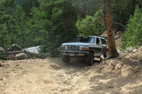 1996 Ford Bronco - Ford Bronco navigates a rough, off-road path through a forest.