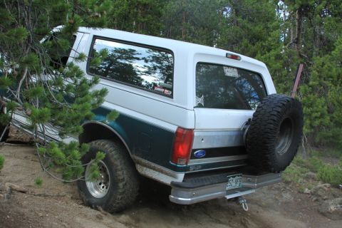 1996 Ford Bronco - 1996 Ford Bronco navigating a wooded trail, showing its rear profile and spare tire.