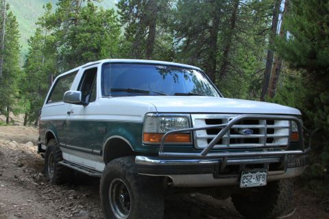 1996 Ford Bronco - This two-tone Ford Bronco navigates a wooded trail, equipped with a front brush guard.