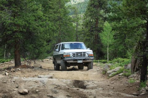1996 Ford Bronco - A Ford Bronco navigates a challenging off-road trail surrounded by dense trees and rocky terrain.