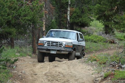 1996 Ford Bronco - This two-tone 1996 Ford Bronco navigates a wooded trail.