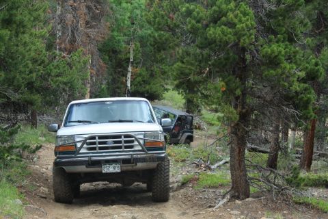 1996 Ford Bronco - A white Ford Bronco drives on a dirt road through a forest, with another vehicle following behind.
