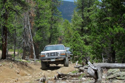 1996 Ford Bronco - A white Ford Bronco navigates a wooded trail, with another vehicle visible behind it.