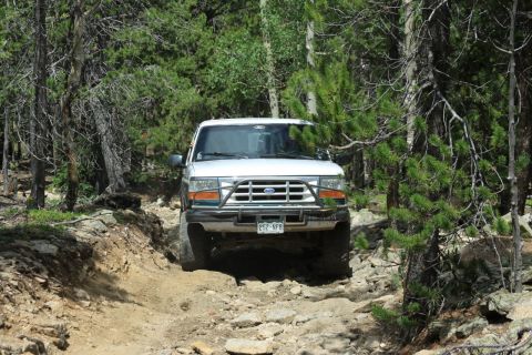 1996 Ford Bronco - A white Ford Bronco navigates a rough, off-road path surrounded by trees and rocks.
