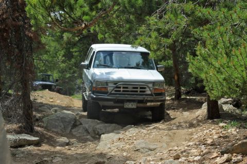 1996 Ford Bronco - A white SUV navigates a challenging, rocky off-road trail surrounded by trees.