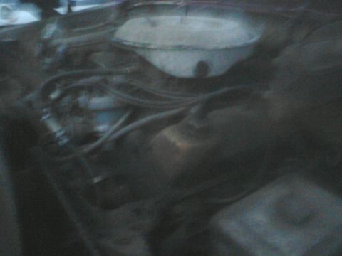 1988 Ford Bronco - Close-up view of an engine bay, showing various hoses and a white component.