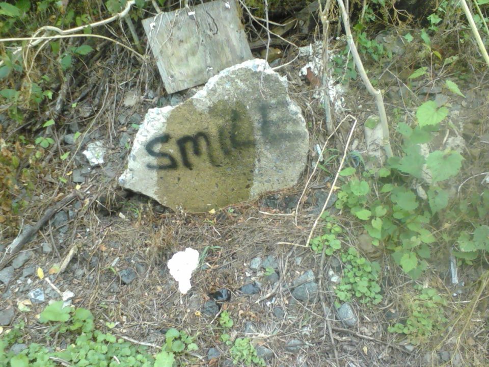 concrete slab with "SMIL" spray-painted on it, surrounded by dirt, weeds, and debris