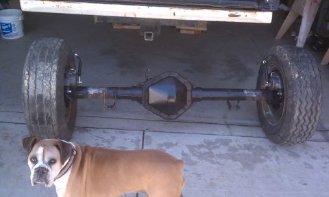 1978 Ford Bronco - Rear axle assembly with tires and a boxer dog in front of it.