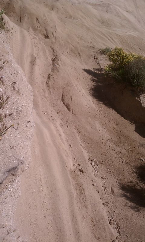 1978 Ford Bronco - A sandy, rutted track winds up a slope, suggesting off-road activity.
