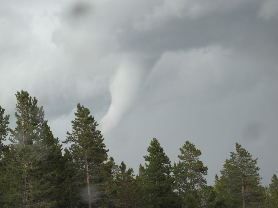 Tornado over trees