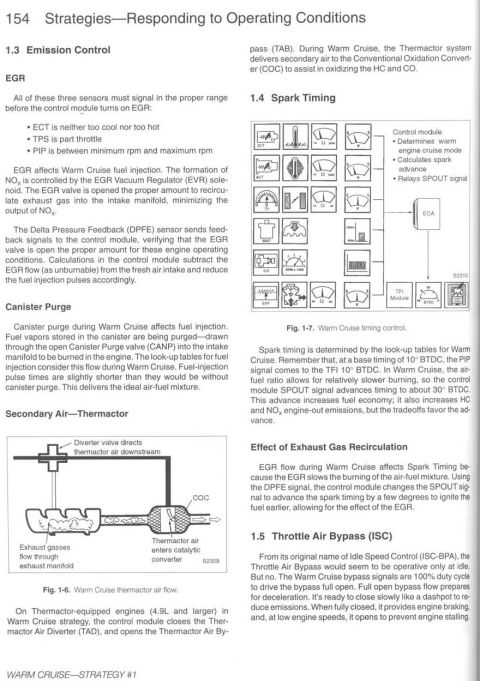 1996 Ford Bronco - Manual page on emission control during Warm Cruise: EGR via EVR solenoid and DPFE sensor, canister purge through CANP valve, spark timing v…