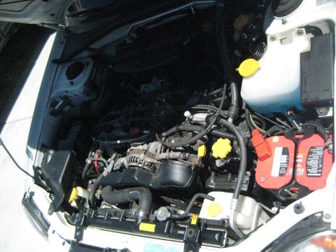 1996 Toyota Tacoma photo