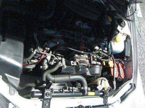 1996 Toyota Tacoma photo
