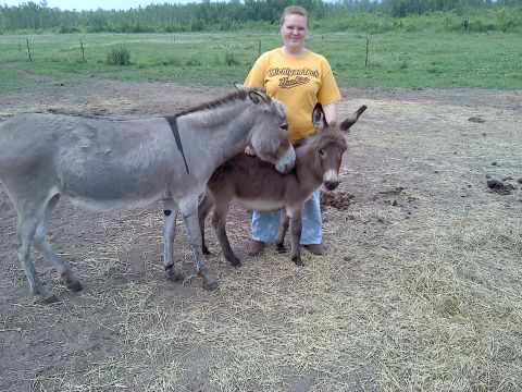 2000 Chevrolet Tahoe - A woman poses with two donkeys in an outdoor enclosure.
