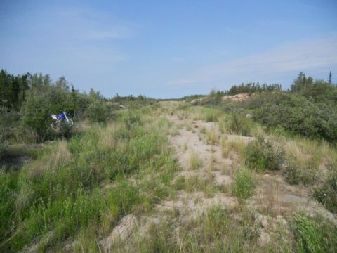 1986 Ford F-150 - A dirt bike sits off a sandy path in a wooded, overgrown area under a clear blue sky.