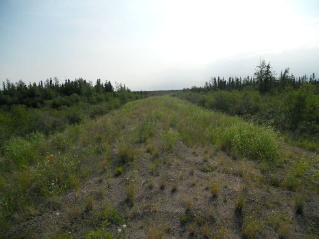 Overgrown dirt road with trees and a SUPERMOTORS watermark