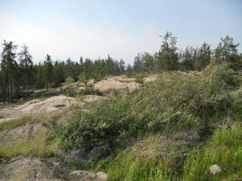 1986 Ford F-150 - A natural scene of rocky terrain and trees, with grass and bushes in the foreground.