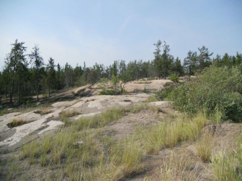 1986 Ford F-150 - A scenic view of a rocky landscape with scattered trees and dry grass under a clear blue sky.