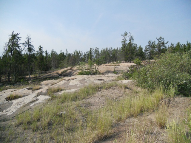 Rocky terrain with trees and grass, Supermotors logo in corner