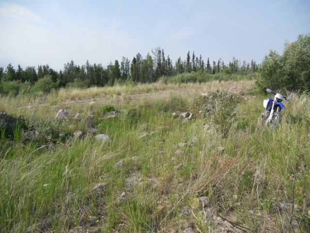 Blue and white dirt bike parked in tall grass with trees in the background