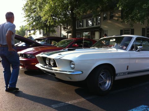 2010 Ford Falcon - A man looks at a row of classic cars, including a white GT350 and a red Mustang, on a sunny day.