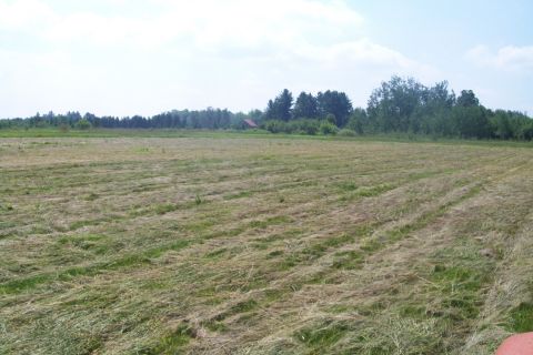 2000 Chevrolet Tahoe - A wide shot of a mowed field under a partly cloudy sky, with a small building visible among the trees.