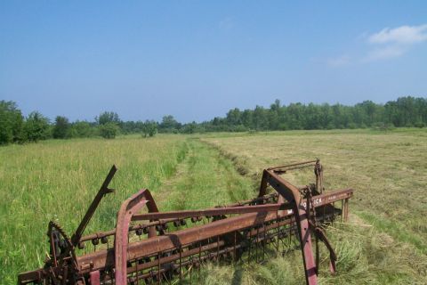 2000 Chevrolet Tahoe - A rusty farm rake sits in a field of cut grass under a clear blue sky.