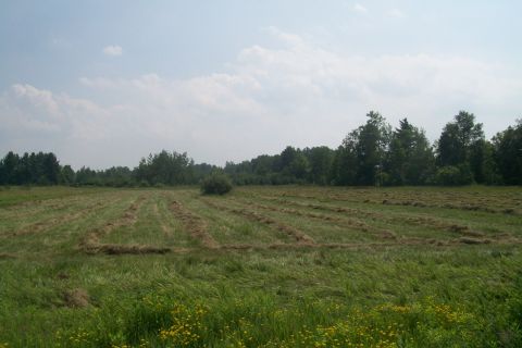 2000 Chevrolet Tahoe - A wide shot of a mowed field with trees in the background under a partly cloudy sky.