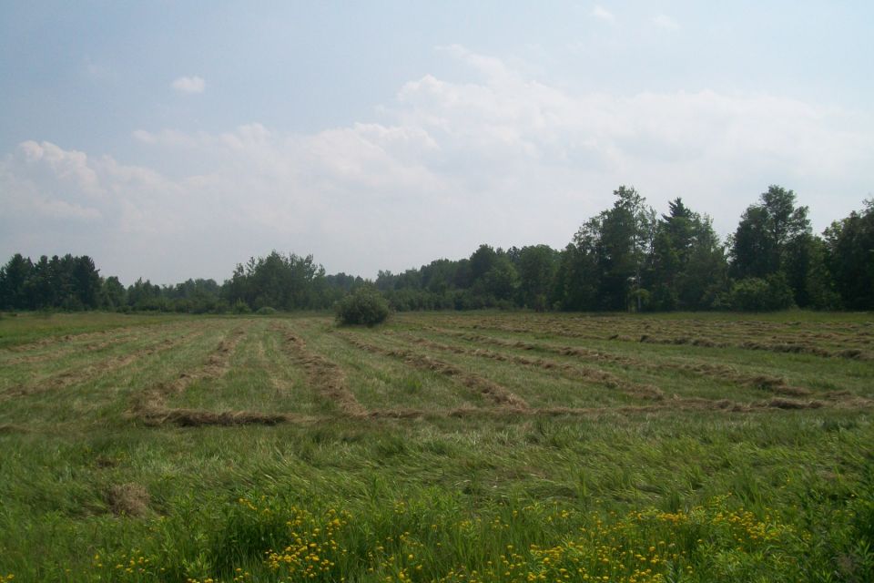 Field with cut grass and trees under a cloudy sky. Watermark reads SUPERMOTORS