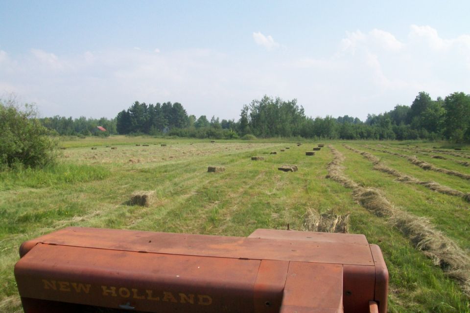 Rusty orange tractor hood with 'NEW HOLLAND' text, in a field with hay bales